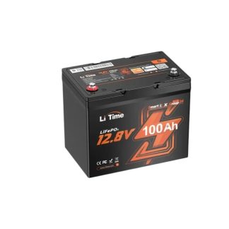 Litime 12V-100 Ah(Group24+Low Temp+Bluetooth)